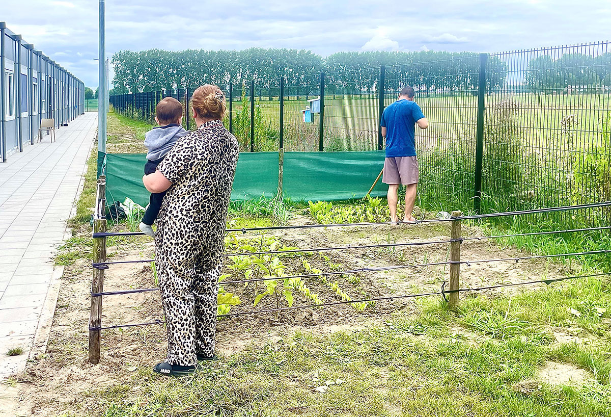 Moestuin bij de Noodopvang in Druten